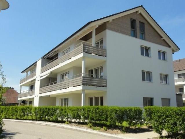 Apartment kaufen in Brittnau, Aargau