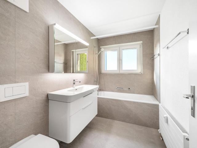 Apartment mieten in Brugg Drahtseil AG, Birr