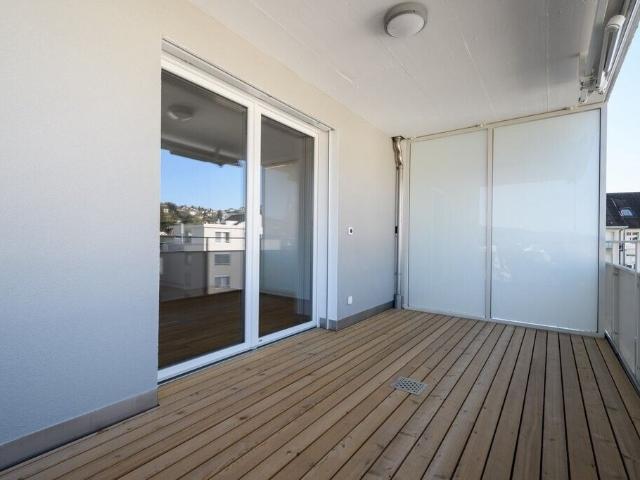 Apartment kaufen in Menziken, Aargau