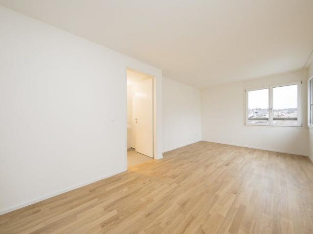 Apartment kaufen in Olten, Solothurn