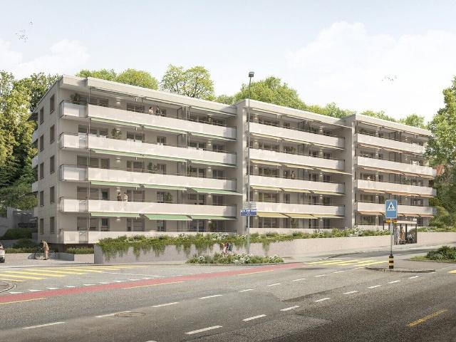 Apartment kaufen in Olten, Solothurn