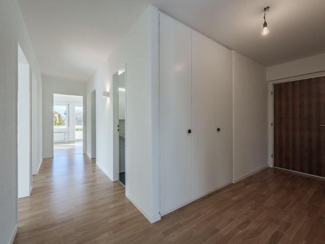 Apartment kaufen in Opfikon, Zürich