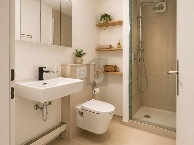 Apartment kaufen in Reinach (AG), Aargau