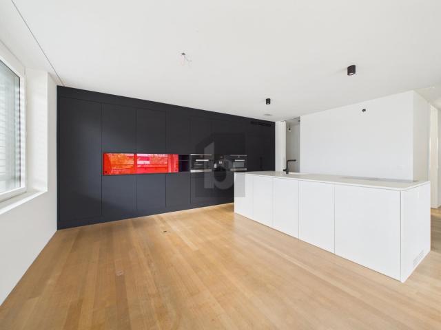 Apartment mieten in Reinach, Bezirk Arlesheim