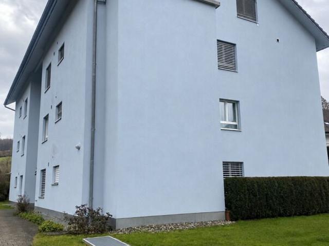 Apartment kaufen in Rudolfstetten, Aargau