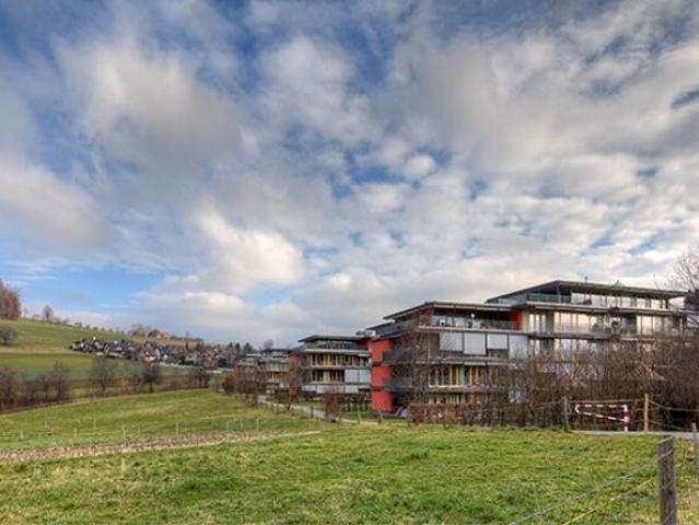 Apartment kaufen in Wallis