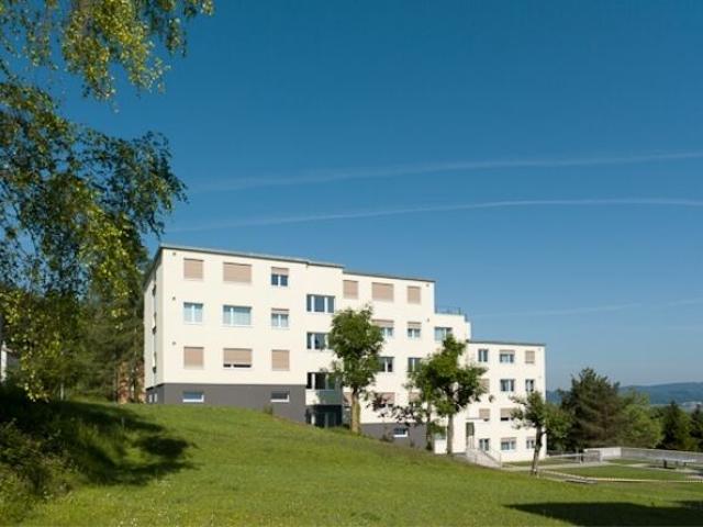 Apartment kaufen