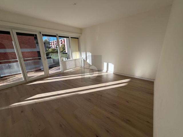 Apartment kaufen in Agno, Tessin