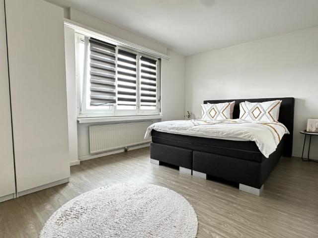 Apartment kaufen in Bazenheid, Kirchberg (SG)