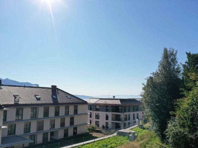Apartment kaufen