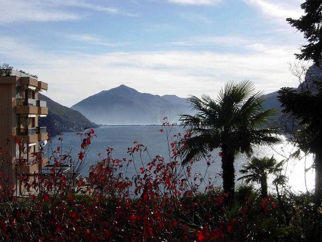 Apartment kaufen in Aldesago, Tessin