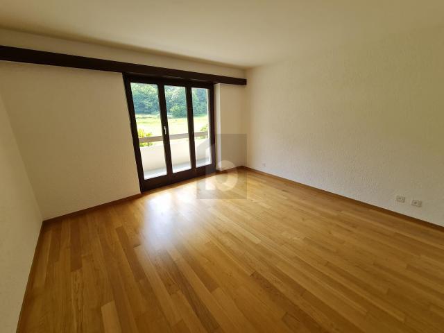Apartment kaufen in Faido, Tessin