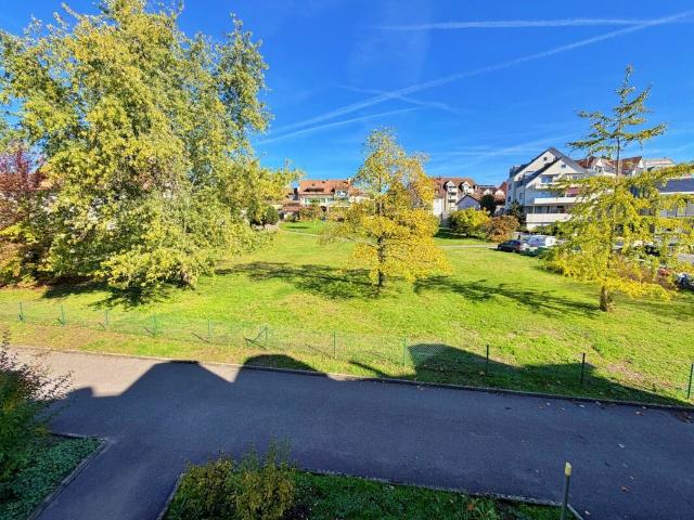 Apartment kaufen