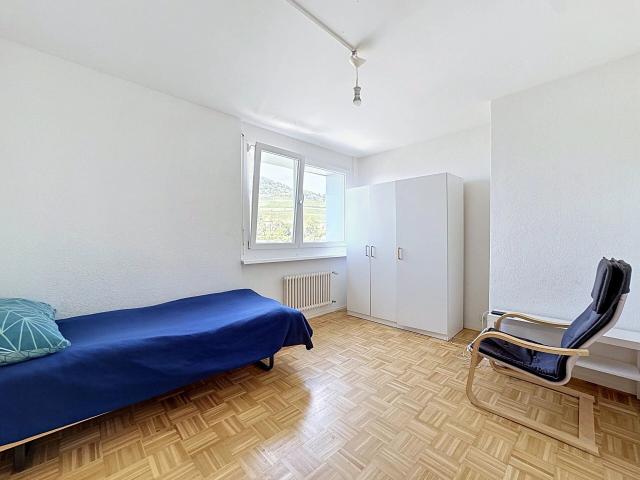 Apartment kaufen in Vex, Wallis