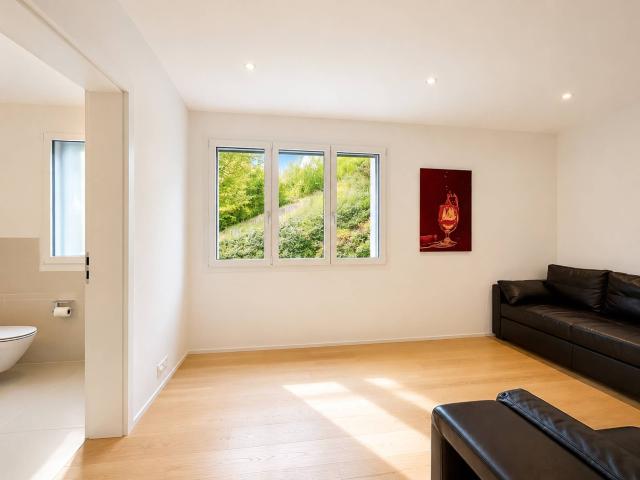 Apartment kaufen in Bourg-en-Lavaux, Waadt
