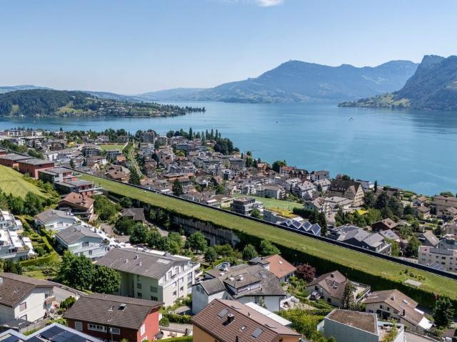 Apartment kaufen