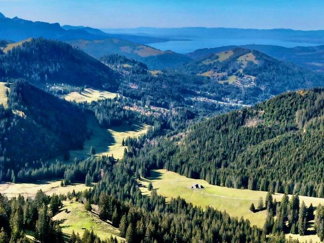 Apartment kaufen in Châtel-Saint-Denis, Freiburg