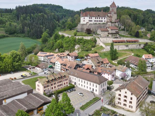 Apartment kaufen in Chesalles-Moudon, Waadt