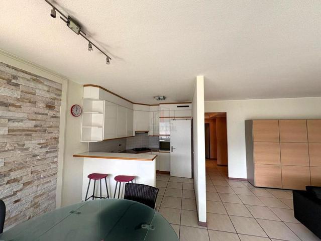 Apartment kaufen in Molino Nuovo, Lugano