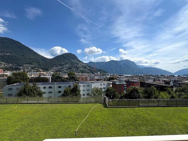 Apartment kaufen in Aldesago, Tessin