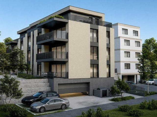 Apartment kaufen in Menziken, Aargau