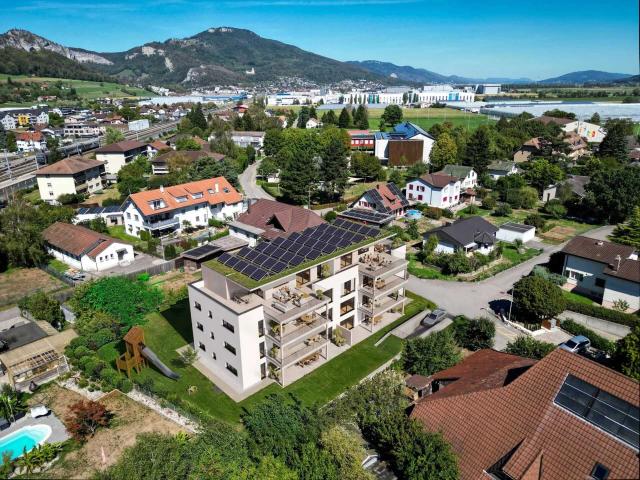 Apartment kaufen in Niederbipp, Verwaltungsregion Emmental-Oberaargau