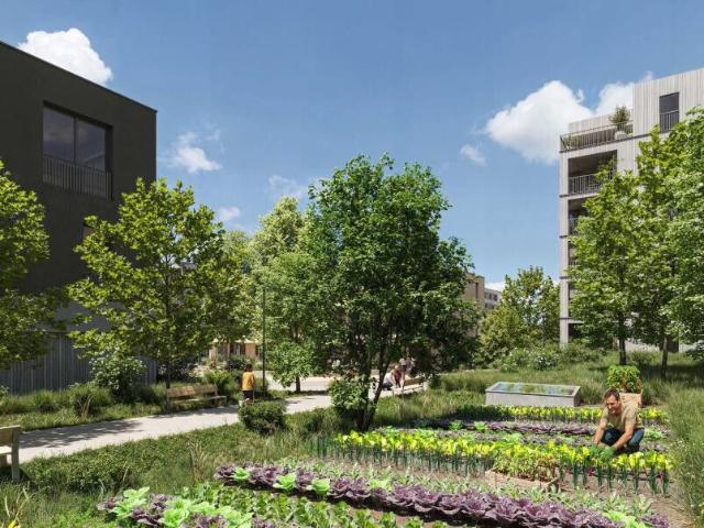 Apartment kaufen in Oron, Waadt