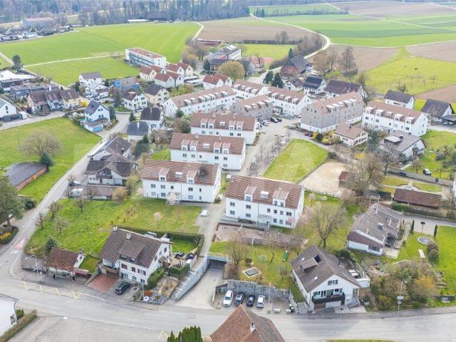 Apartment kaufen in Schneisingen, Aargau