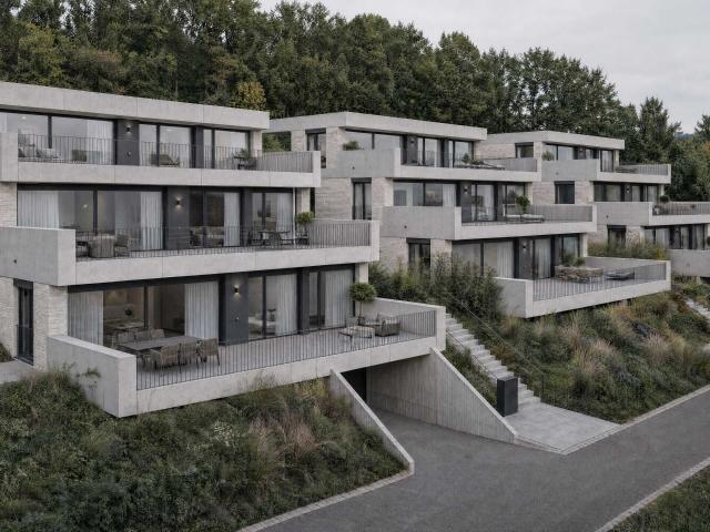 Apartment kaufen in Brestenberg, Seengen