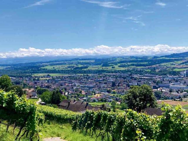 Apartment kaufen in Weinfelden, Bezirk Weinfelden