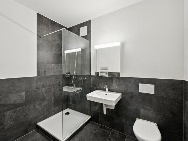 Apartment mieten in Kleinbasel, Basel