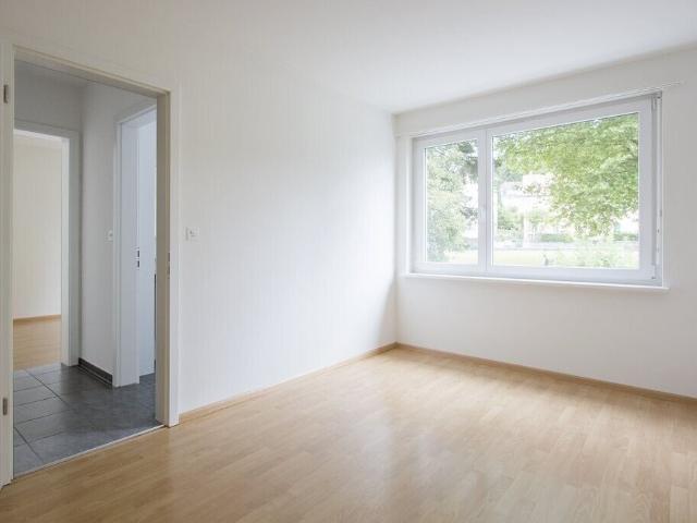Apartment mieten in Binningen, Bezirk Arlesheim
