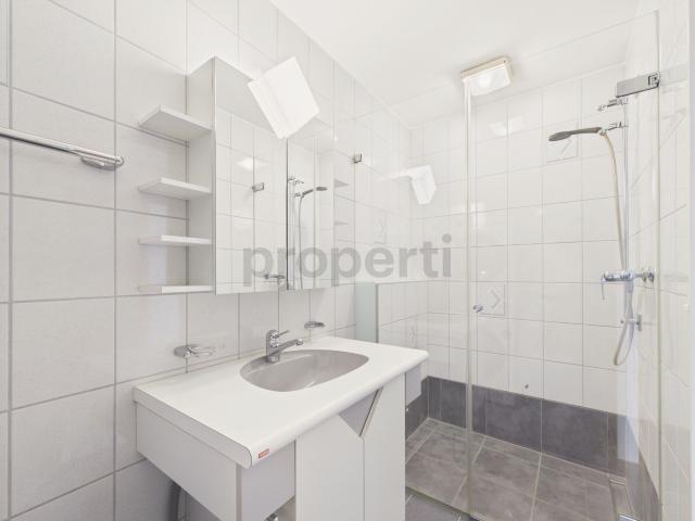 Apartment kaufen
