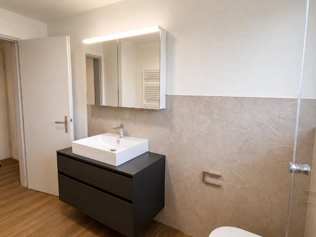 Apartment kaufen in Lutzenberg, Appenzell Ausserrhoden