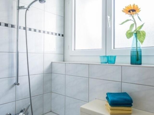 Apartment kaufen in Olten, Solothurn