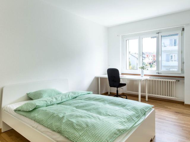 Apartment kaufen in Olten, Solothurn