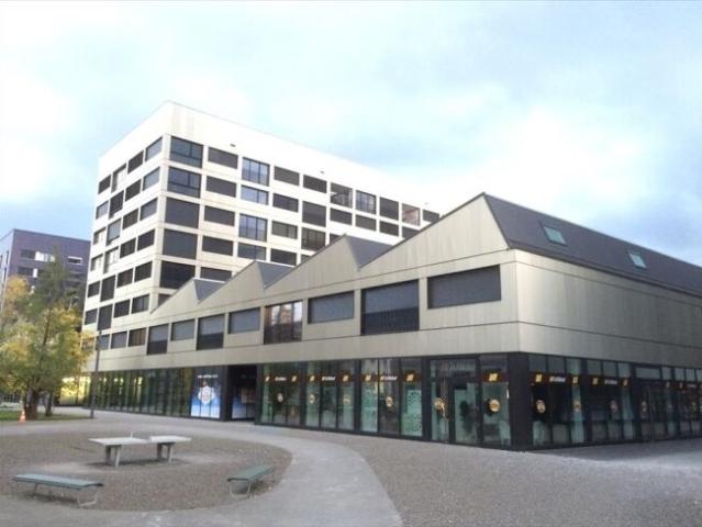 Apartment kaufen in Sembrancher, Wallis
