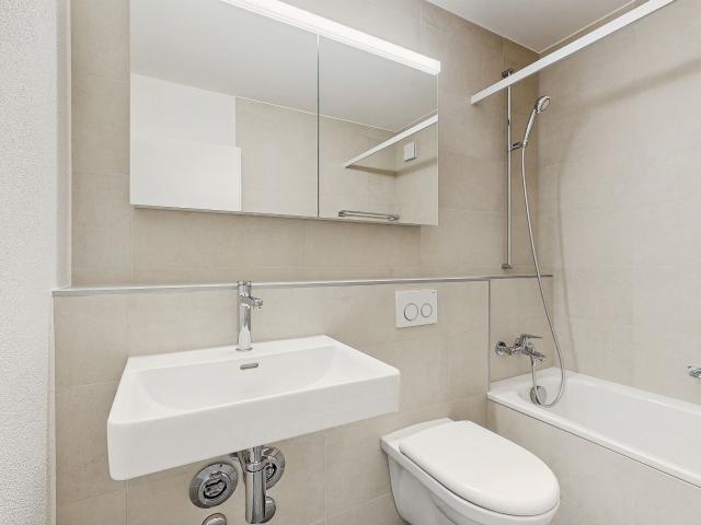 Apartment kaufen in Steinhausen, Zug