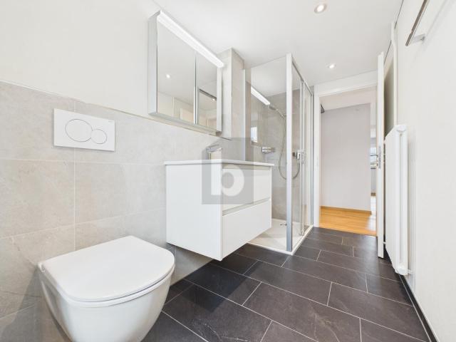 Apartment kaufen in Amriswil, Thurgau