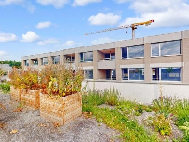Apartment kaufen
