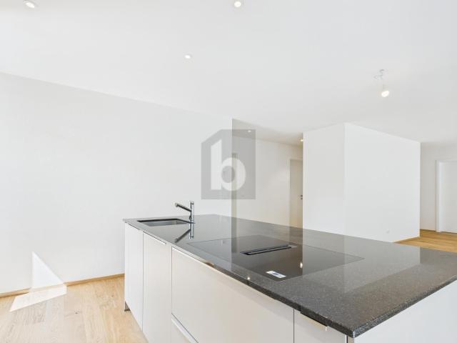 Apartment mieten in Susten, Leuk