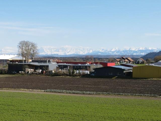Apartment kaufen in Gampelen, Bern