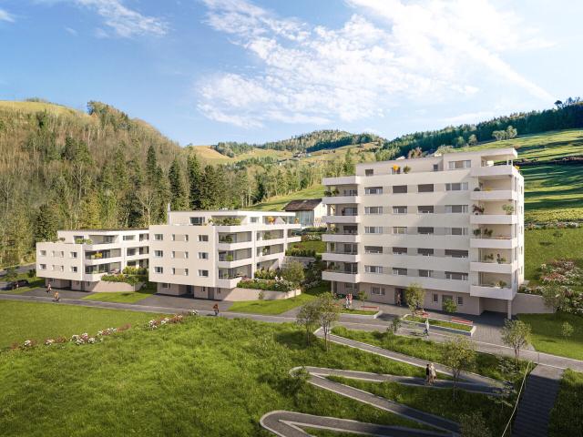 Apartment kaufen in Lichtensteig, Wahlkreis Toggenburg