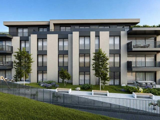 Apartment kaufen in Menziken, Aargau
