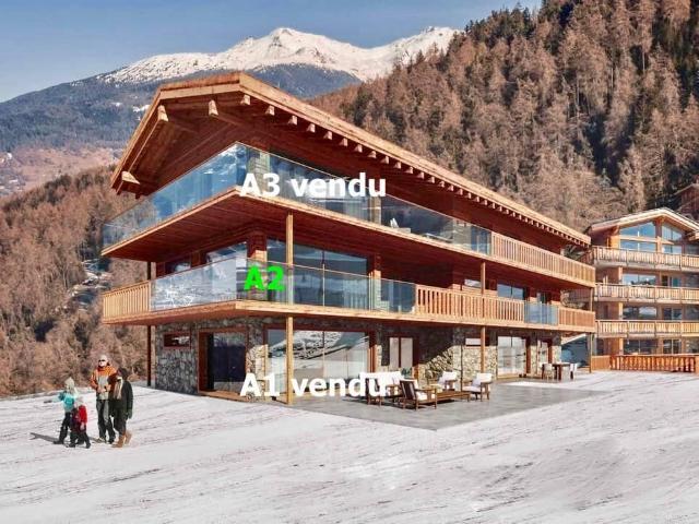 Apartment kaufen in Veysonnaz, Wallis