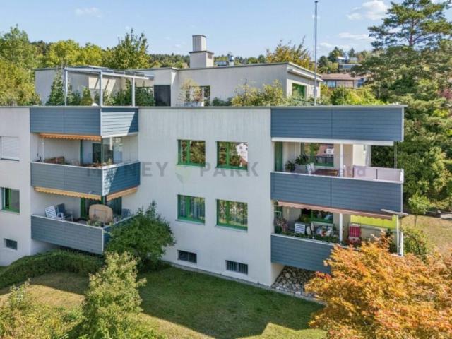 Apartment kaufen in Oberseen, Winterthur