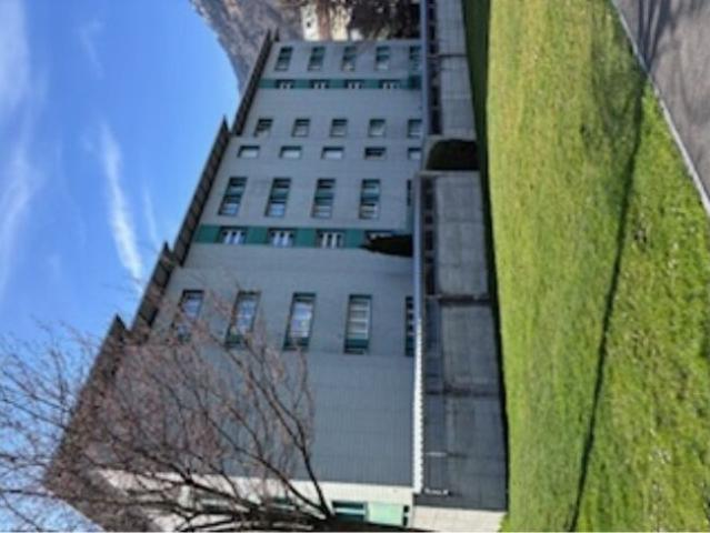 Apartment kaufen in Sembrancher, Wallis