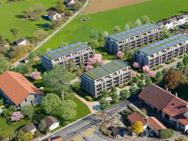 Apartment kaufen