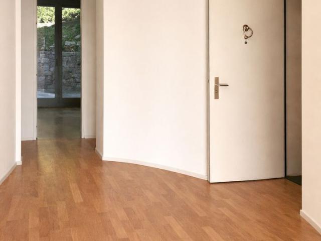 Apartment kaufen in Ticino