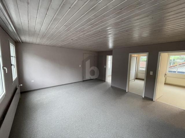 Apartment mieten in Stein (AR), Hinterland